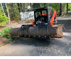 Marco Professional Tree Services | free-classifieds-usa.com - 3