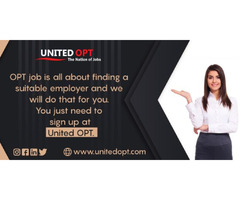 Get the OPT jobs in the USA as International students. | free-classifieds-usa.com - 1