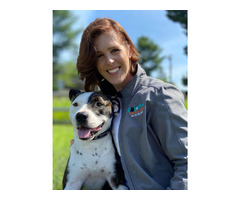 Count on Pet-Retreat for Exceptional Pet Care Services | free-classifieds-usa.com - 2