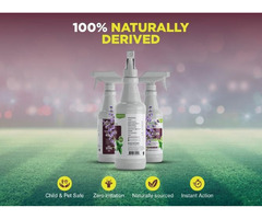 100% Natural Flea and Tick Control For Dogs | free-classifieds-usa.com - 1