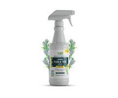 Buy Best Tick Repellent Spray for Cats | free-classifieds-usa.com - 1