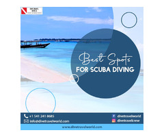 Best Spots For Scuba Diving | free-classifieds-usa.com - 1