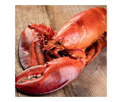SEAFOOD - SEAFOOD - SEAFOOD: Top Quality, Delivered Direct to you ! | free-classifieds-usa.com - 1