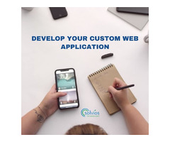 Develop Your Custom Web Application | free-classifieds-usa.com - 1