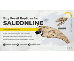 Buy Meteorites Online | Fossil for Sale | Rocksolidfossils.com | free-classifieds-usa.com - 2