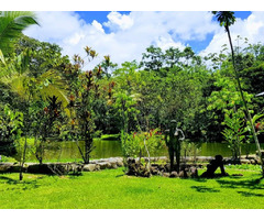 BEAUTIFUL FINCA ALREADY DEVELOPED IN COSTA RICA | free-classifieds-usa.com - 4