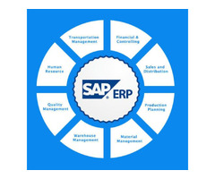 Best SAP Implementation services  | free-classifieds-usa.com - 1