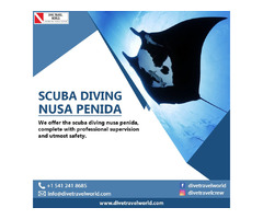   Scuba Diving Nusa Penida | free-classifieds-usa.com - 1