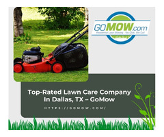 Top-Rated Lawn Care Company In Dallas, TX – GoMow | free-classifieds-usa.com - 1