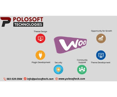 WooCommerce Development Services by PoloSoft | free-classifieds-usa.com - 3