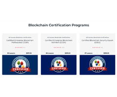Avail Our Top Blockchain Certification Program | free-classifieds-usa.com - 1