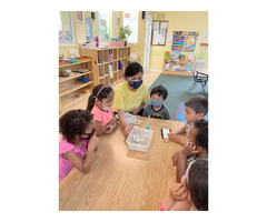 Preschool South Pasadena, CA | Princeton Montessori Academy | free-classifieds-usa.com - 1