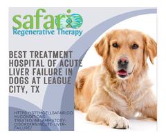 Best Treatment Hospital of Acute Liver Failure in Dogs At League City, TX | free-classifieds-usa.com - 1