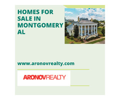 Aronov Realty has been the leader and prime mover in the Alabama real estate industry | free-classifieds-usa.com - 3
