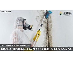 Call us for a Well-Known Mold Remediation Service in Lenexa KS | free-classifieds-usa.com - 1
