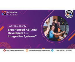 .NET Development Services from Integrative Systems | free-classifieds-usa.com - 1