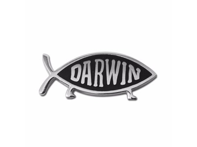 Buy Unique Fish Lapel Pins Online At Best Price - Art & Collectibles ...