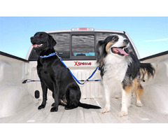 Shop at Online Dog Accessories Store | Xtreme Pet Products - USA | free-classifieds-usa.com - 2