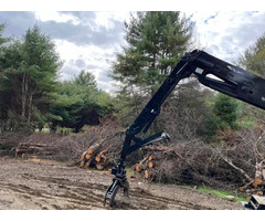 BW timber harvesting – The best harvesting company | free-classifieds-usa.com - 1