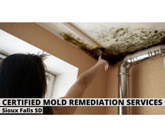 Certified Mold Remediation Services in Sioux Falls SD | free-classifieds-usa.com - 1