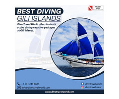 Best Diving Gili Islands | free-classifieds-usa.com - 1