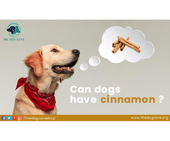 Can Dogs Have Cinnamon | free-classifieds-usa.com - 1