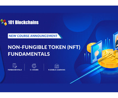 Enroll in the Best NFT Course Offered by 101 Blockchains | free-classifieds-usa.com - 1