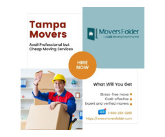 Tampa Movers: Avail Professional but Cheap Moving Services | free-classifieds-usa.com - 1