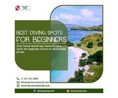 Best Diving Spots For Beginners | free-classifieds-usa.com - 1