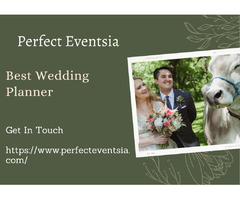 Hire The Best Wedding Planner | Perfect Eventsia | free-classifieds-usa.com - 1