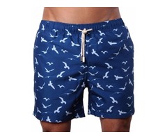 Men's Stylish Swim Trunk or Shorts, Venice Seagull Designer Board Shorts | free-classifieds-usa.com - 1