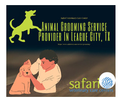 Animal Grooming Service Provider In League City, TX - Safari Vet | free-classifieds-usa.com - 1