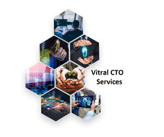 Virtual CTO implementation for enhanced decision making | free-classifieds-usa.com - 1