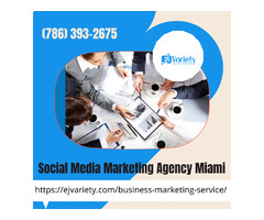 Social Media Services for Businesses in Miami | free-classifieds-usa.com - 1
