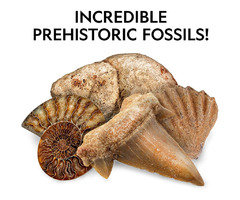 NATIONAL GEOGRAPHIC Rocks & Fossils Kit – 200+ Piece  | free-classifieds-usa.com - 2