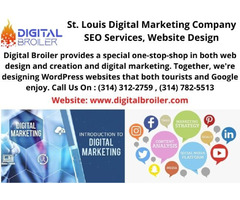St. Louis Digital Marketing Company: SEO Services, Website Design | free-classifieds-usa.com - 1
