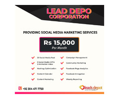 Professional Social media marketing Company  | free-classifieds-usa.com - 1