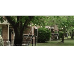 Apartments in College Station | free-classifieds-usa.com - 1