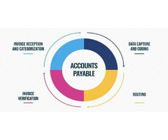 Best Accounts Payable Services by Rayvat  Accounting | free-classifieds-usa.com - 1