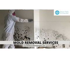 How Does Mold Removal Services For Sioux Falls? | free-classifieds-usa.com - 1