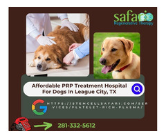 Affordable PRP Treatment Hospital For Dogs In League City, TX | free-classifieds-usa.com - 1