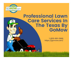Professional Lawn Care Services In The Texas By GoMow | free-classifieds-usa.com - 1