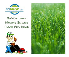 GoMow Lawn Mowing Service Plans For Texas | free-classifieds-usa.com - 1