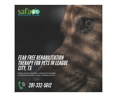 Fear Free Rehabilitation Therapy for Pets In League City, TX | free-classifieds-usa.com - 1
