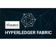 Build Robust Blockchain-Driven Business Solutions with Hyperledger | free-classifieds-usa.com - 1