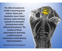 Get The Best Chiropractic Care To Ease The Pain | free-classifieds-usa.com - 2