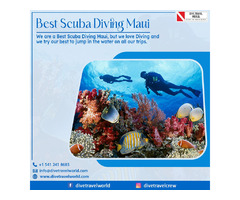 Best Scuba Diving Maui | free-classifieds-usa.com - 1