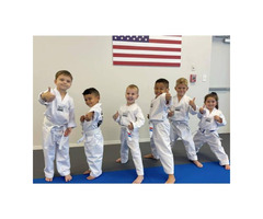 Dynamic Taekwondo Classes for Kids and Adults in Orlando | free-classifieds-usa.com - 2