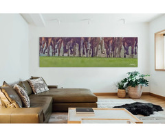 Are your walls plain? Decorate it in the simplest way by adding a horse picture to it.  | free-classifieds-usa.com - 1
