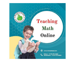 Teaching Math Online | free-classifieds-usa.com - 1